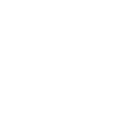 Footer decorative line